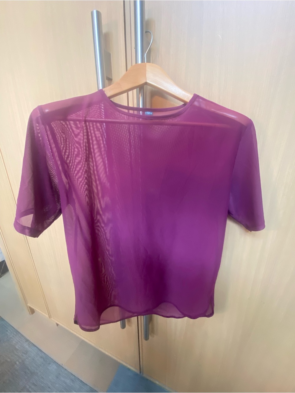 Noli Sheer Short-Sleeve Top in Plum